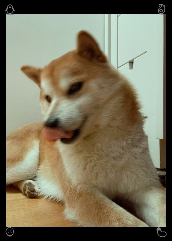 McgeeTaco's tweet photo. 采摘草莓：草莓红透了。修船厂位于港口，招牌已经剥落褪色，“麦登船厂”的字样几乎难以辨认，但即便过了这么多年，艾拉一眼就能认出它。 https://t.co/uhvFbzGuKm
