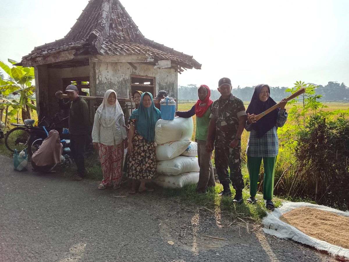 Kodim0709's tweet photo. @0709Kodim Dekat dengan Petani, Babinsa Jatimulyo Perkuat Ketahanan Pangan dari Sawah Pasca Panen https://t.co/l30AJa9VYo