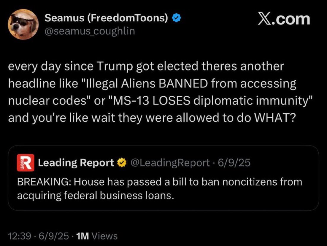 GenericSnarky's tweet photo. If the average American knew what I know as an accountant about what immigrants get, there'd be riots instantly. https://t.co/JdeaEoYtWp