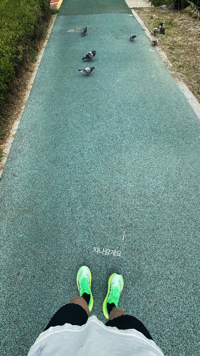 BBangbear_'s tweet photo. 아 기여워ㅠㅠ 그냥 안 지나가고 멈춘거봐ㅠ https://t.co/YBhO08f9Qs