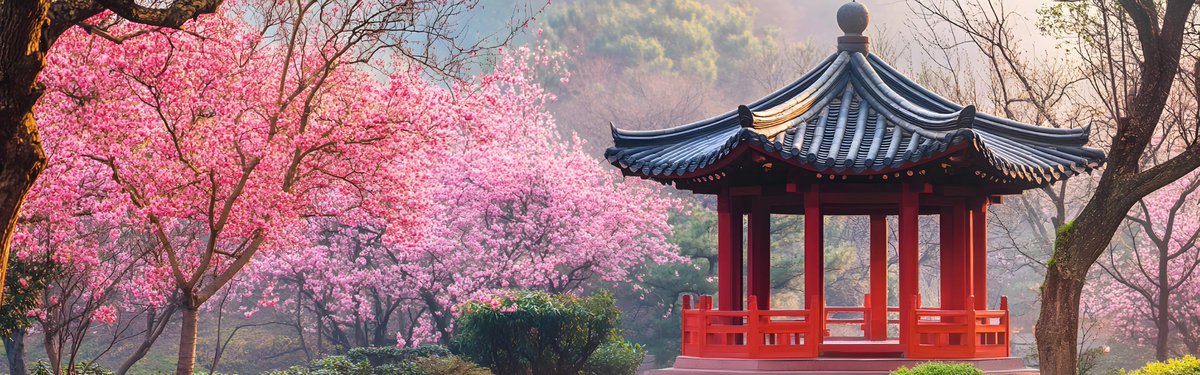 gomosafer's tweet photo. 🇰🇷 Planning a trip to South Korea?

From the vibrant streets of Seoul to the beauty of Jeju Island, discover the country's must-visit attractions and unforgettable experiences. 

Your next adventure starts here! ✨

👇 Explore the complete guide:
🔗 https://t.co/yOoZoLpa0m https://t.co/7P3Qu2maWJ