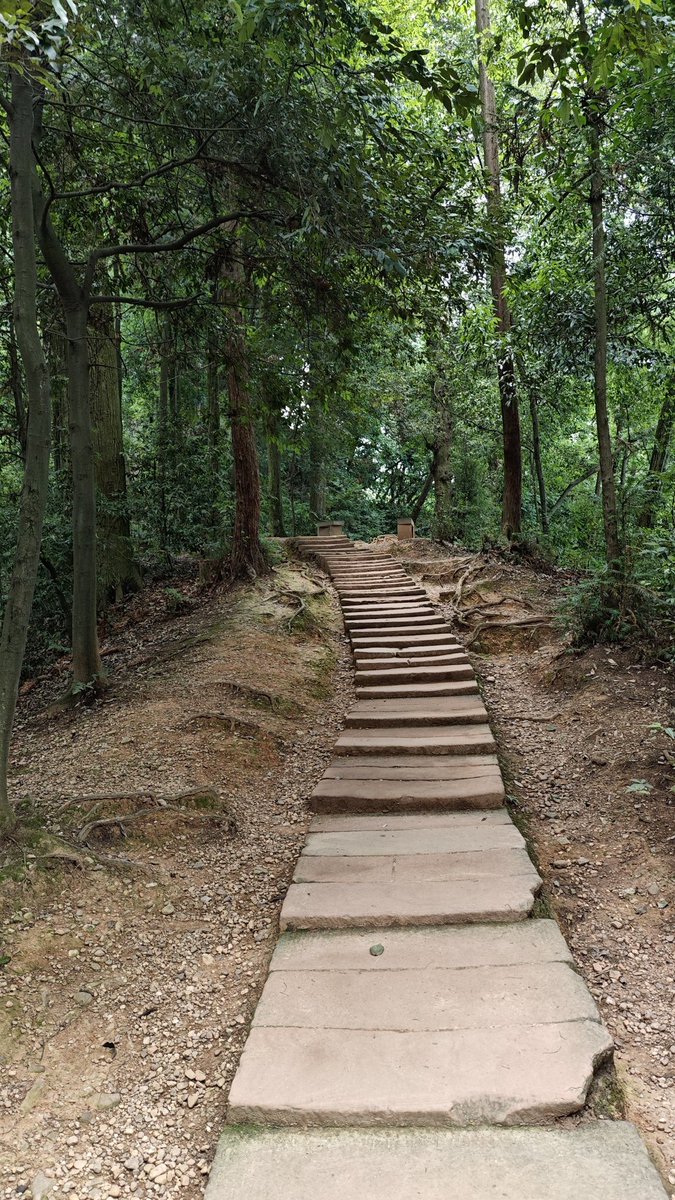 semonxue's tweet photo. 爬山不就是中国的hiking么 https://t.co/GEDxJ6VwaG