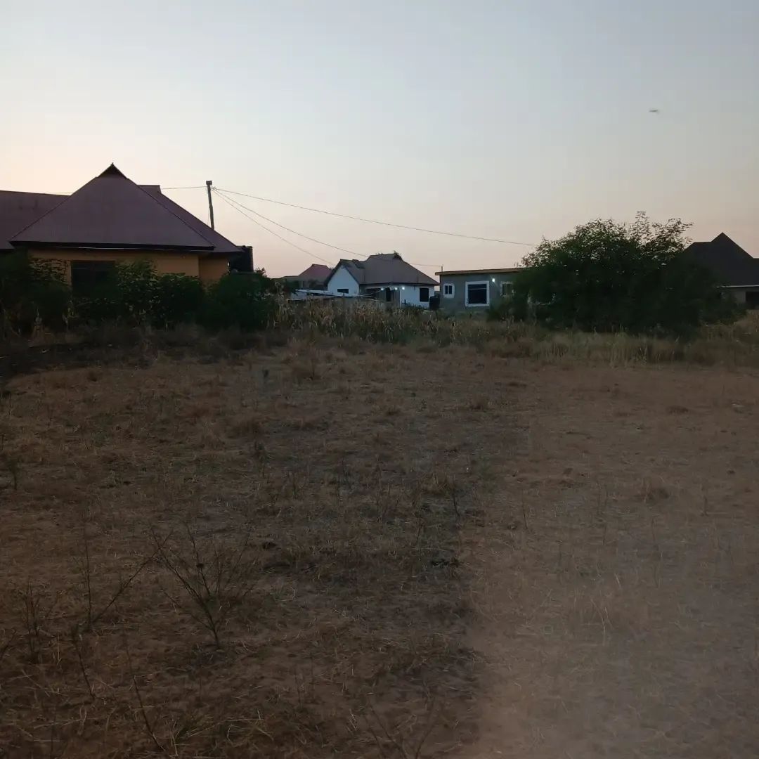 dodoma360's tweet photo. KIWANJA KINAUZWA MKONZE DODOMA 

9km kutoka mjini na 1km kutoka iringa road.

Kina ukubwa wa 868sqm 

Document Hatimiliki 

Bei milioni 19.9

Huduma za kijamii zipo

0664 164 669 https://t.co/4JASWIYO57