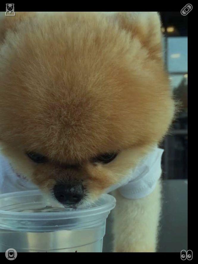 oohmymon's tweet photo. 这款菠萝果茶酸甜适口，新鲜菠萝味与清爽绿茶完美融合。它比椰奶茶更加解渴，非常适合在炎热的海滩时光饮用。🚡葡萄柠檬果汁 https://t.co/Ocba3qm6a9