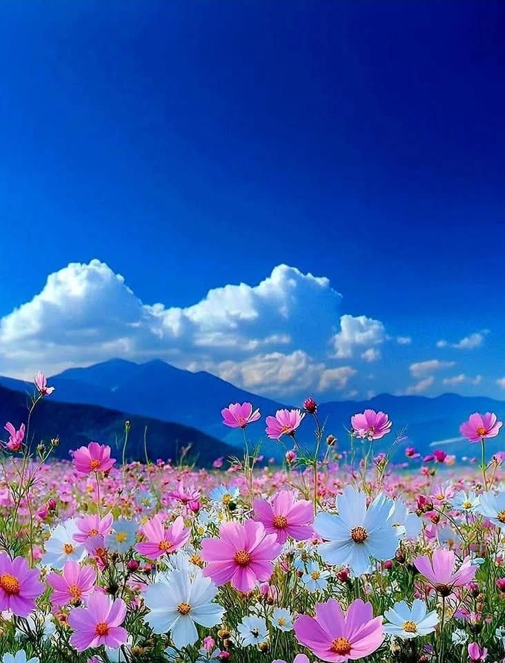 amazingine's tweet photo. Mountain ⛰️ https://t.co/tdMAX06aHF
