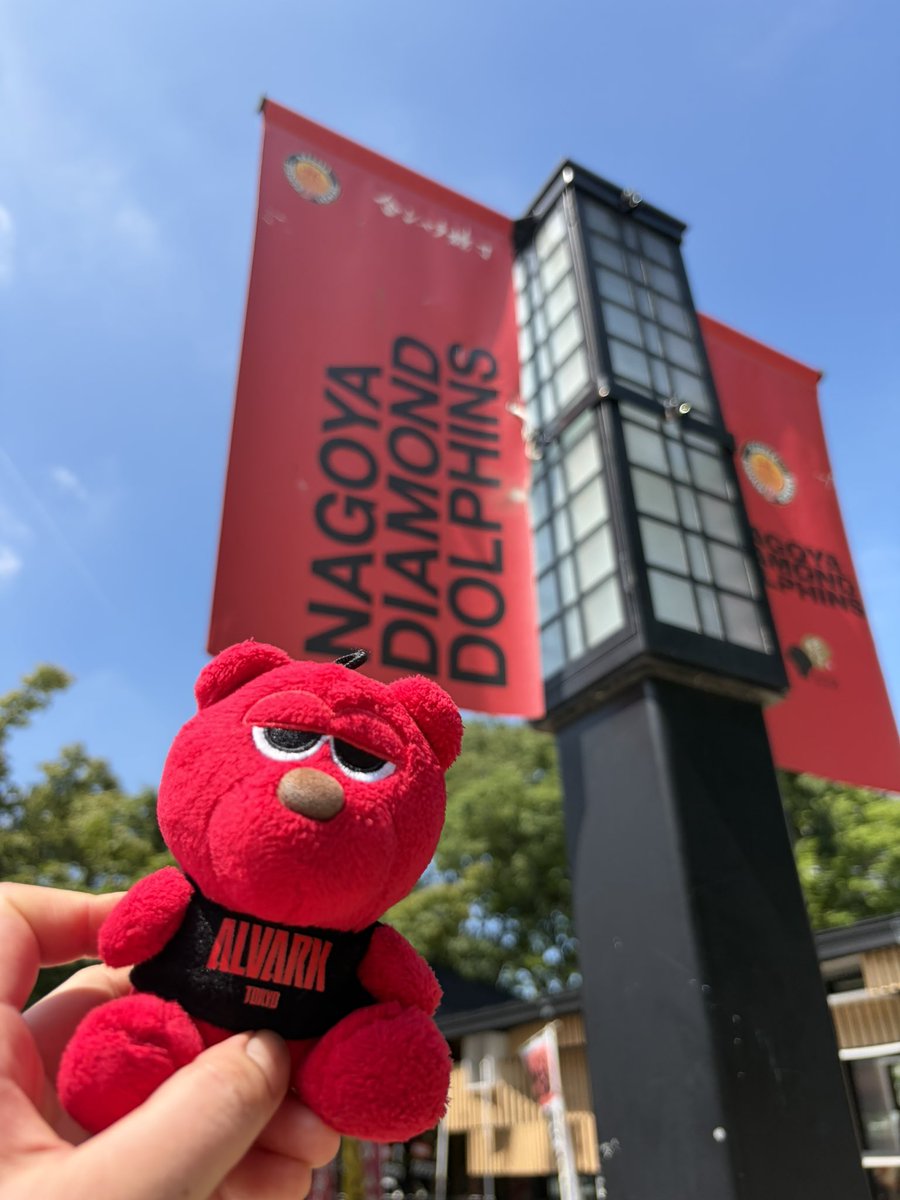 Alvark75K's tweet photo. IGアリーナ初めて見た🏟️！
街中にも名古屋Dが溢れてて素敵！ https://t.co/H8td1drAL9