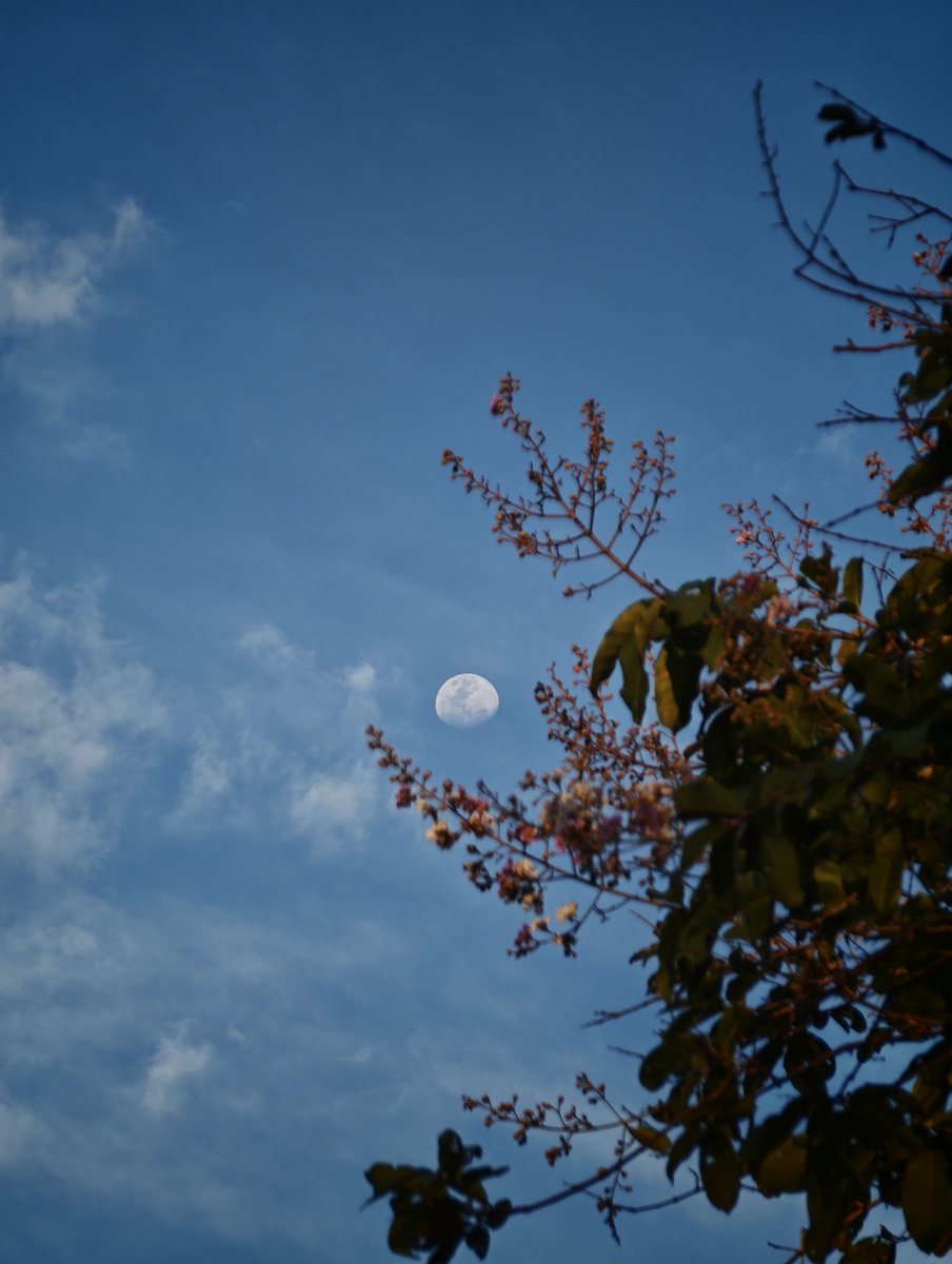 nhaitpai's tweet photo. 🌕

#Xiaomi17Ultra
#Xiaomi
#LEICA https://t.co/LcwkUu69HZ