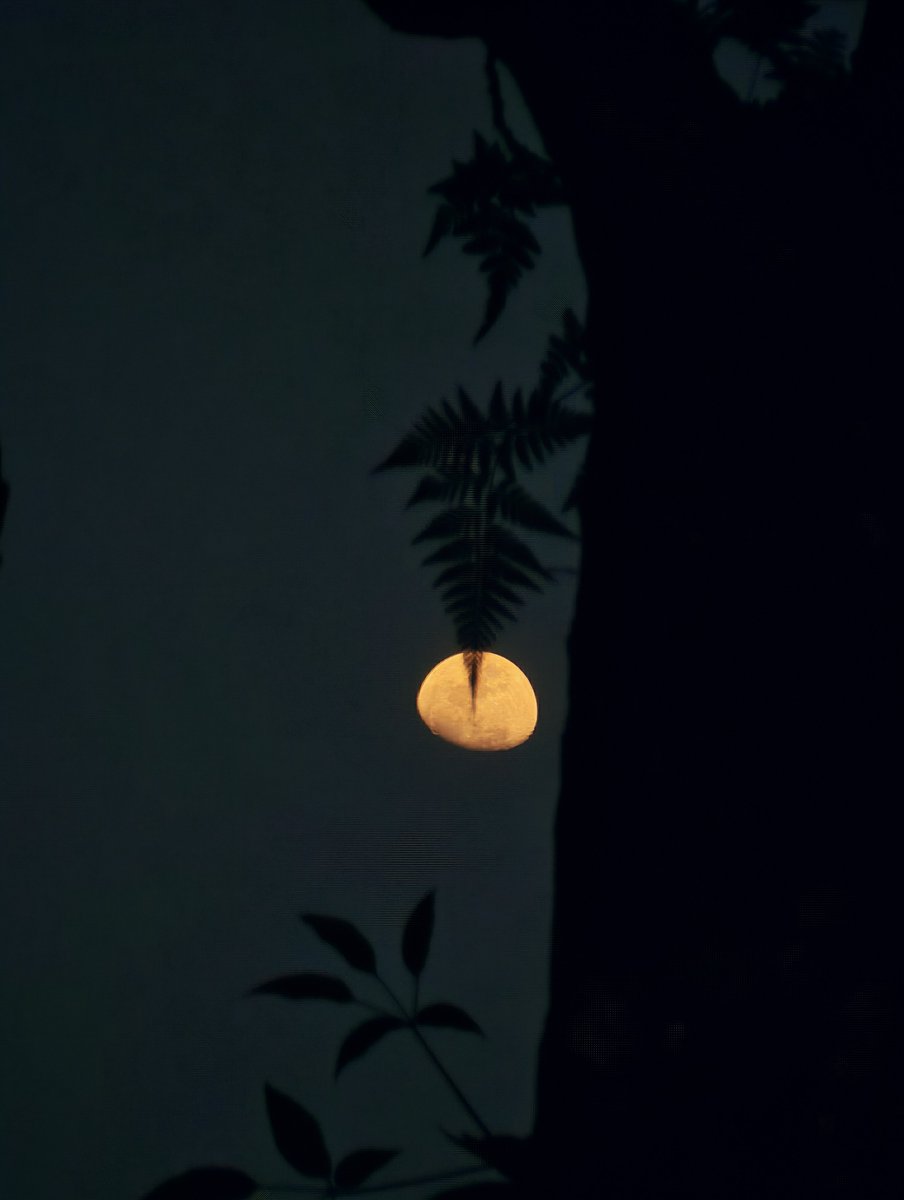 nhaitpai's tweet photo. 🌕

#Xiaomi17Ultra
#Xiaomi
#LEICA https://t.co/LcwkUu69HZ