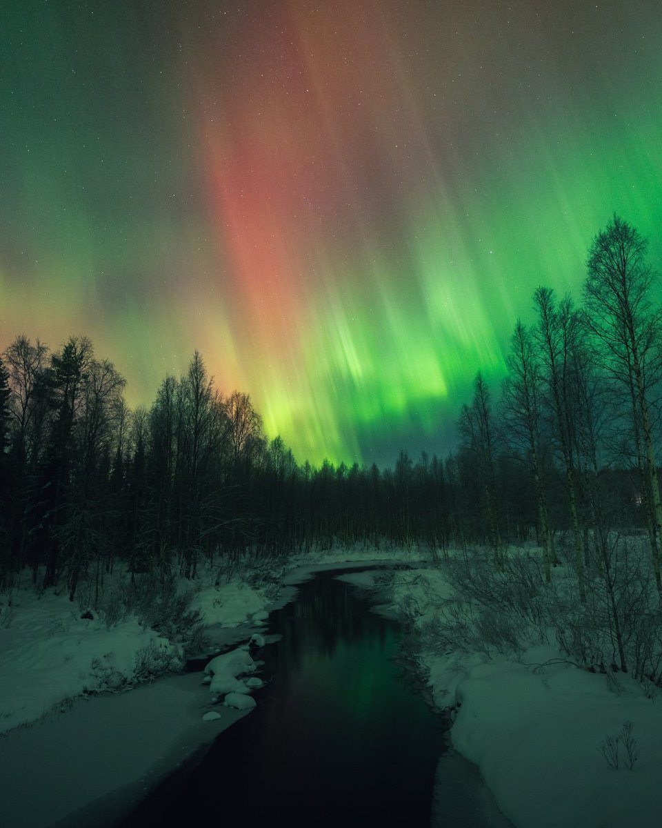Travelintonorth's tweet photo. Only two months left until the Arctic sky comes alive again.
From late August, the Northern Lights slowly return to Lapland nights — and a new aurora season begins in Rovaniemi.
Are you planning your trip this year?
#finland #northernlights #aurora #visitfinland #intonorth https://t.co/7X9eMXcuO5
