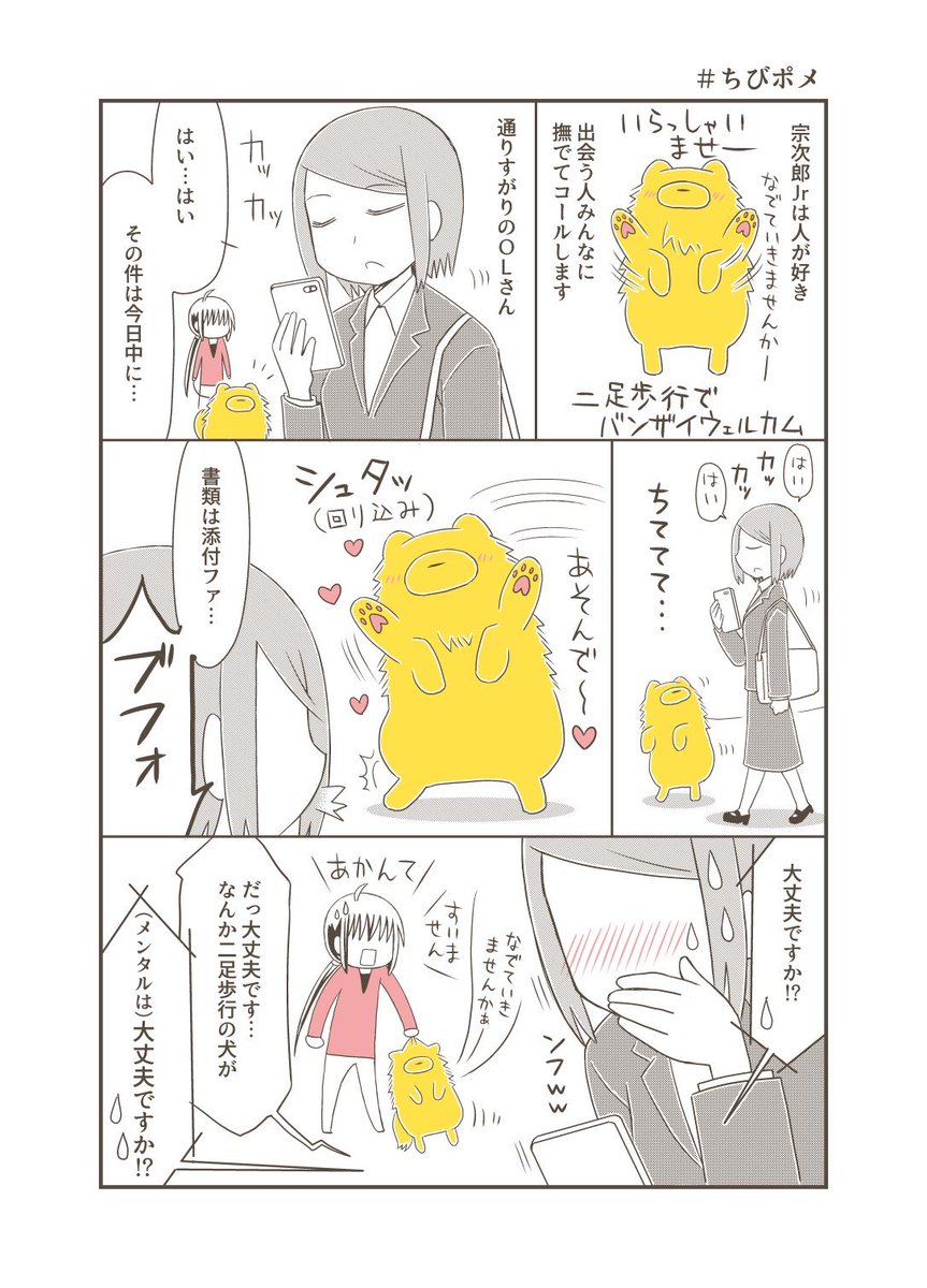 tachibana_shiu's tweet photo. 人が大好きでたまらないポメラニアンVS通りすがりのお姉さん。毛玉が突然視界に入ってすいませんでした…。 #宗次郎Jr #ちびポメ https://t.co/4l5ySlIxA6