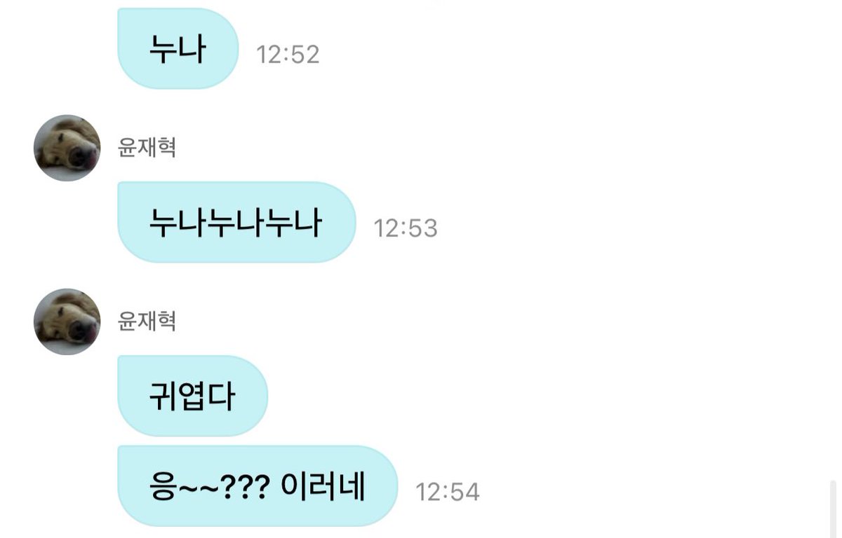 charm99ae's tweet photo. 너무 귀여워서 육두문자나오고 눈물나옴 하 .. https://t.co/r85I7QGM7R