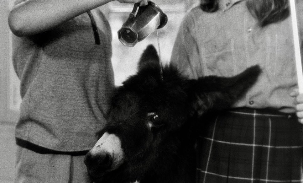 equipe86d's tweet photo. Au hasard Balthazar (1966)
Robert Bresson https://t.co/KS79E39IZM