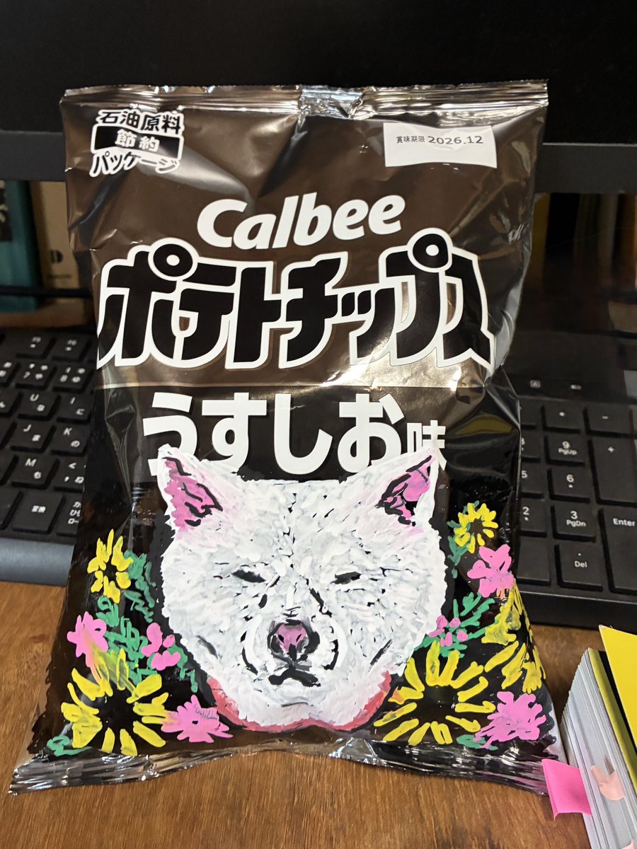 ポテトチップスへの落書きが流行っているそうでお昼に描いてみました