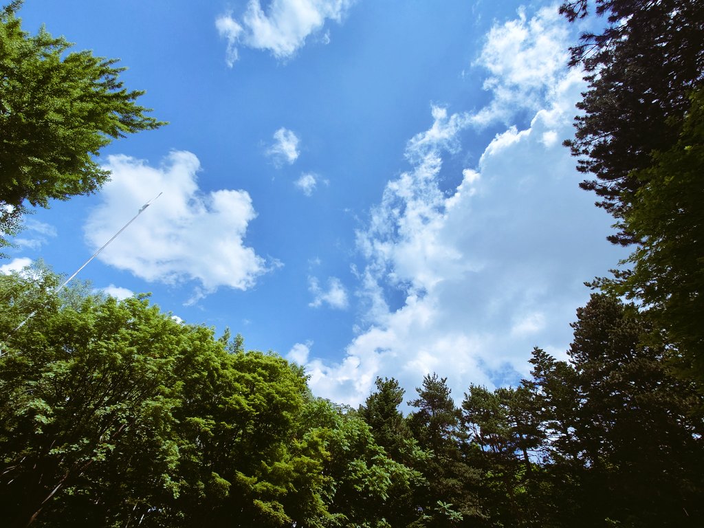 Confe0's tweet photo. 神社行きたいな…と思い立っての夏詣。風鈴の音と小鳥の声が響いて、人気も少ないし居心地がよくて、離れがたかった。初夏の風にすすがれたようなきもち。 https://t.co/WTmwvaLMdg