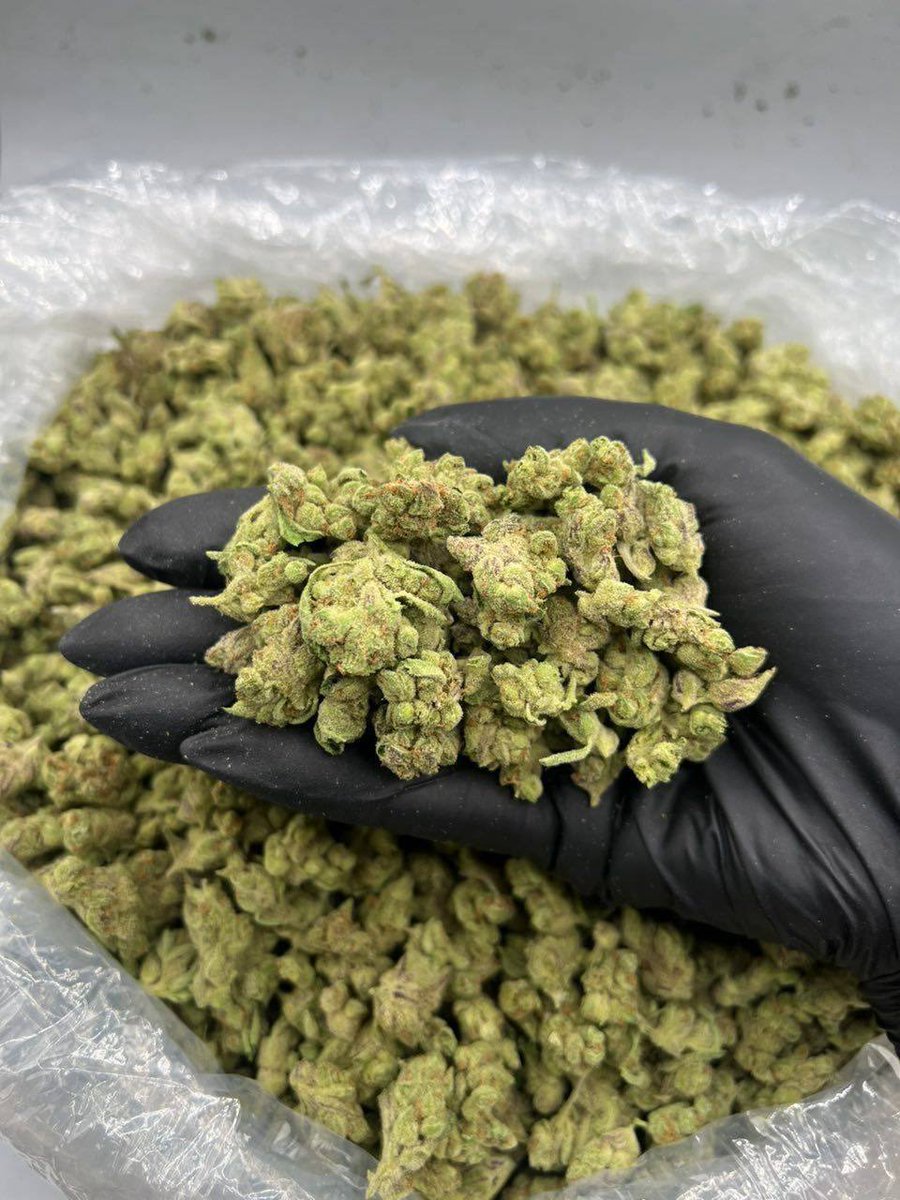 Jameskushplug's tweet photo. Weed Motherwell Civic Area, Weed Musselburgh Racecourse Area, Weed Newburgh Fife Area, Weed Newton Stewart Galloway Area, Weed North Queensferry Bridge Area, Weed Paisley Canal Area, Weed Perth Riverside Area, Weed Port Glasgow Dock Area https://t.co/zHHY394BOj
