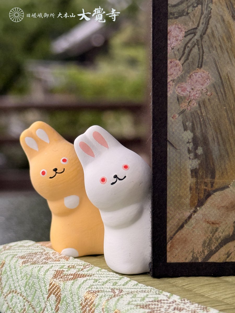 kyoto_daikakuji's tweet photo. 先日は野うさぎのお守りみくじにたくさんの反応を頂きありがとうございます。
こちらのおみくじは現在大覚寺・五大堂にて頒布中です。
ぜひあなたのお気に入りの野うさぎを見つけてくださいね🐰 https://t.co/i0M1JxwLTh