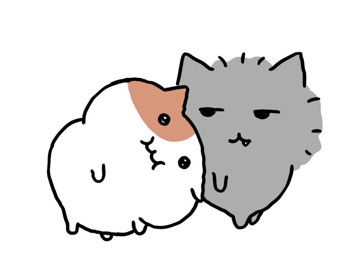nsuq_'s tweet photo. ━━━━━━━🎀━━━━━━

          ゴル帯男女スク👧🏻2↑

━━━🎀━━━━━━🎀━━━

 ▏7/3 21:00 - 24:00

 ▏各試合🥇1000マネ

 ▏FR 【応】 @nsuq_  
       ↳ 👦🏻👧🏻荒野名・本垢ID・追加ID
                         （ 鍵垢× 未定× ）
 
 ▏↻ 形式問わず全提示

#男女スク #男女SQ https://t.co/vuztrVmmca