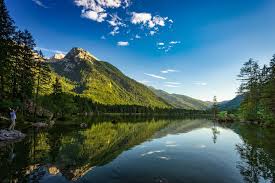 sehee6602's tweet photo. nature https://t.co/gIB3u73D6i
