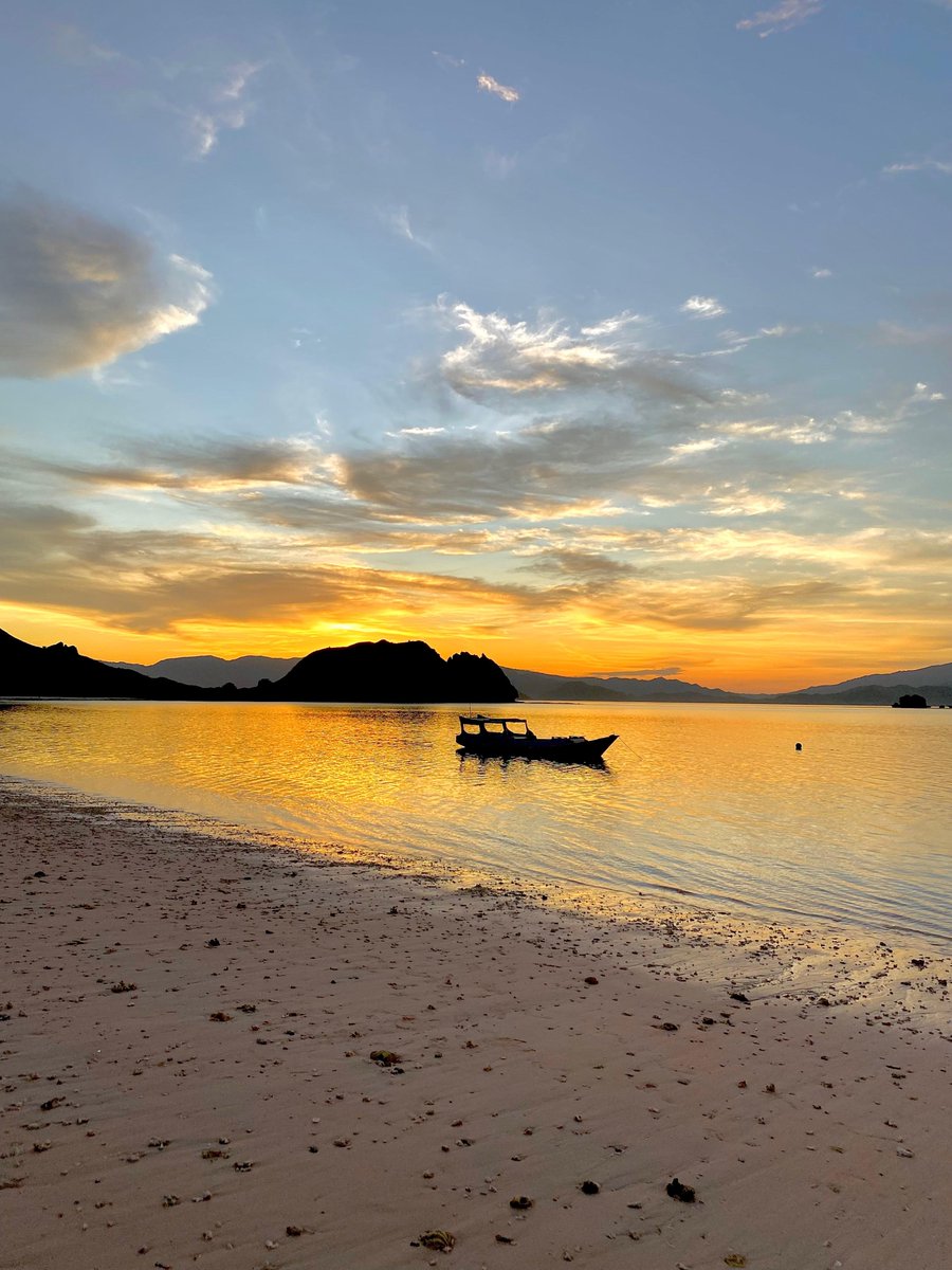 uncle__ud's tweet photo. Penyegaran time line
Hello from Bajo👋 https://t.co/kusdWGEf9u