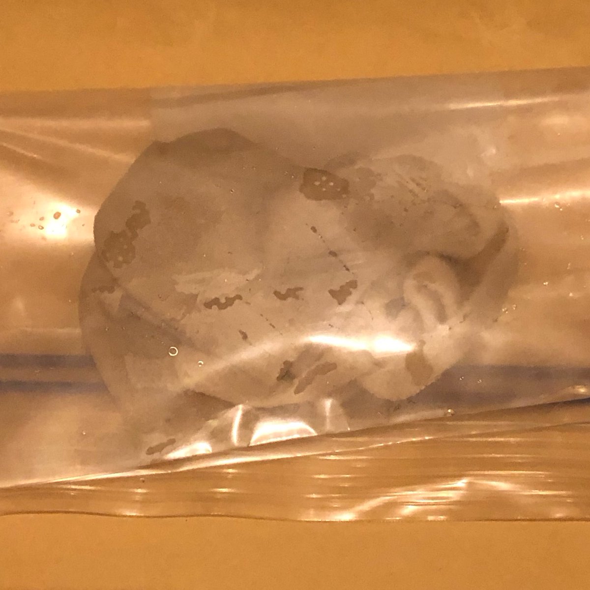 kii_no_'s tweet photo. ちなみにもぐもぐマスクはこんな感じのを発送してますŧ‹”ŧ‹”( ‘ч’ )ŧ‹”ŧ‹”
3.4ヶ月とか歯磨きしてないかもﾉω･）♥

#靴下売ります #靴下売り子 #靴下販売 #靴下フェチ #靴下  #下着販売  #もぐもぐマスク https://t.co/UCRj1Jq1q4
