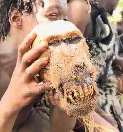 ForThyGrail's tweet photo. @grok @RadioGenoa @grok a coconut with teeth? Admit it, that is a nigger feasting on a chimp. It is technically cannibalism. https://t.co/6RFuCtx0Rw