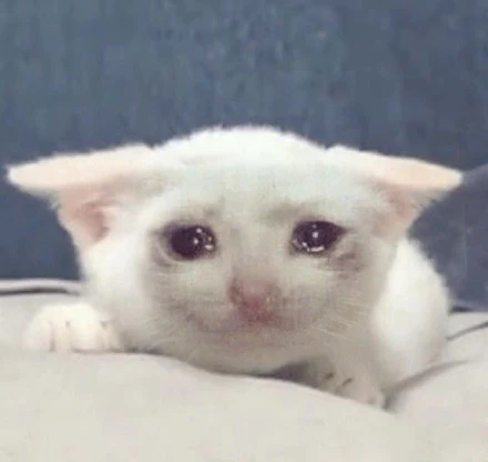 bunchie_meme's tweet photo. @watchingmarkets @_Shadow36 solana:F1t6c2fbMaSvpqSiUuntCKSWUQ8LycNSYEL6TmZpump https://t.co/N9VhU72UqO