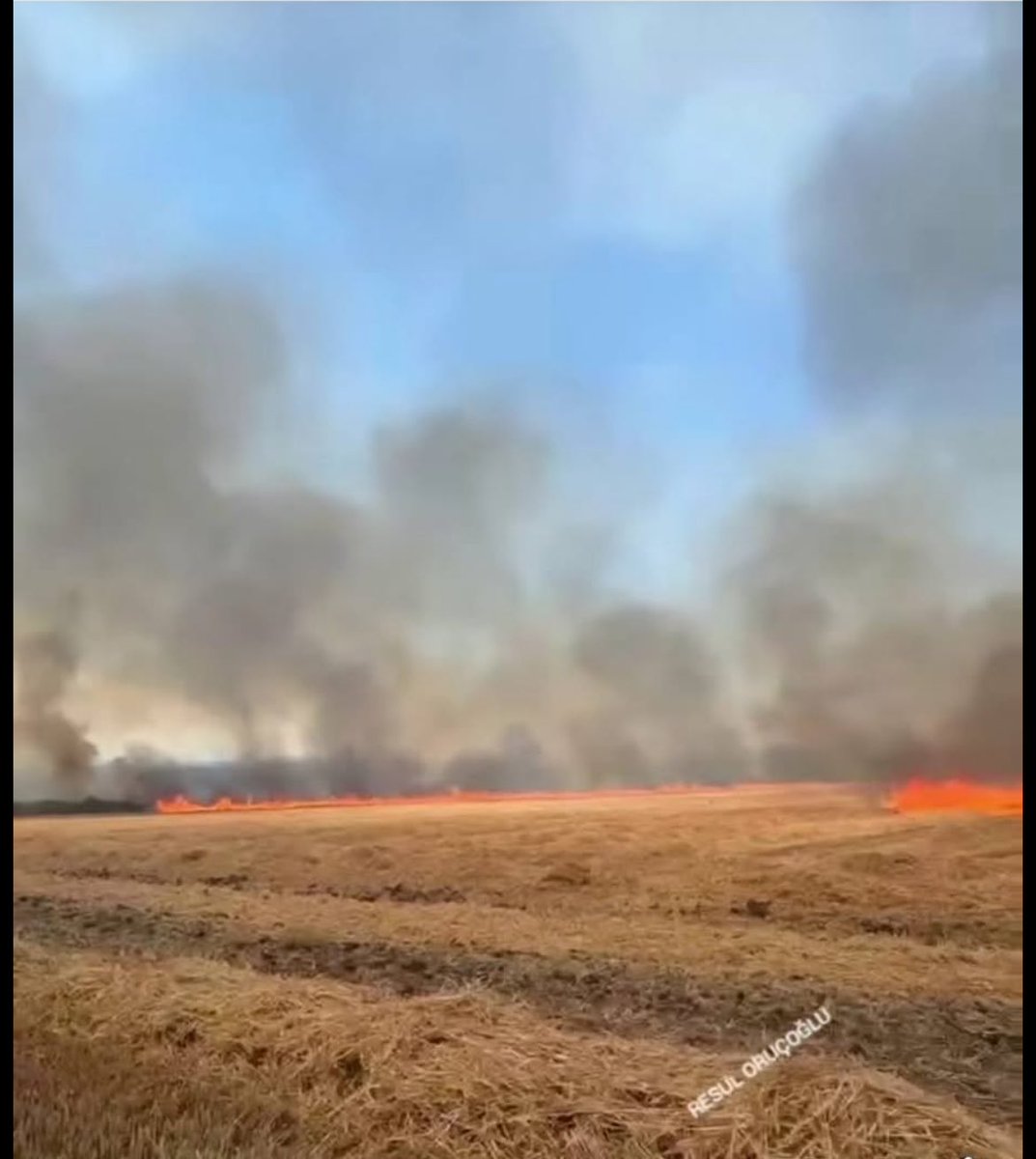 Recepsamuncu1's tweet photo. DURMAYACAKLAR,,

BİR GÜNDE BİNLERCE DÖNÜM EKİN TARLALARI YAKILDI... TESADÜF YOK!!!
Aynı gün ülkemizin en batısından en doğusuna yaktılar..
Hem çiftçinin emeği heba oldu,hem ekmeği daha pahalıya almak zorunda kalacağız, hem de KÖTÜLERİN DEDİĞİ OLDU!
GÜZEL ÜLKEM SES VER!!!
SES VER! https://t.co/NczkTfqOT7