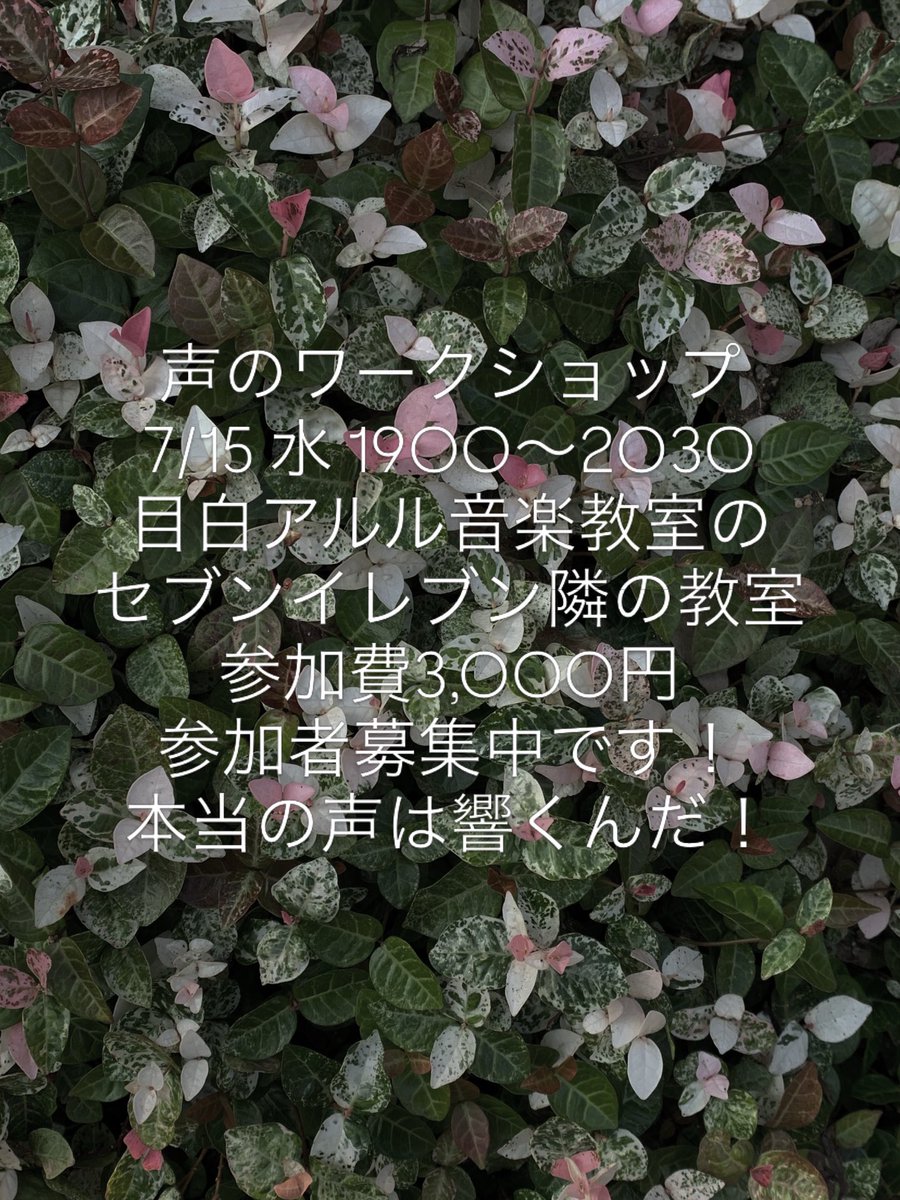lisaooki's tweet photo. https://t.co/Gj49NRlLbn https://t.co/ml6IU8Va1S
