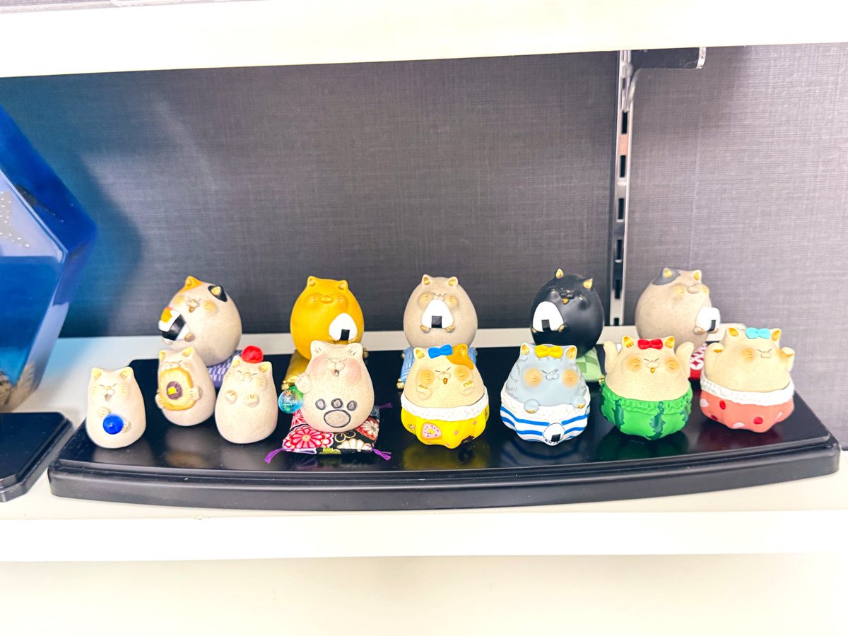 にゃんさんのにゃんちゃん 大部屋にお引越し٩( ΦωΦ )ว=͟͞