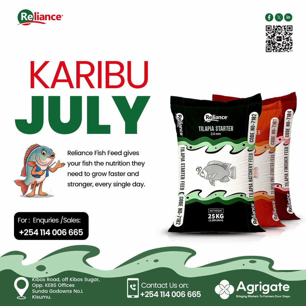 AgrigateKenya's tweet photo. Afternoon Boost for Your Fish! ⏰
Ready to see accelerated growth and healthier fish? Discover how Reliance Fish Feed makes every day count this July! 🐟
Call Agrigate Network: +254 114 006 665. #AgrigateNetwork #RelianceFishFeed #FishFarming #AquacultureKenya https://t.co/9W1YBQ4vWS