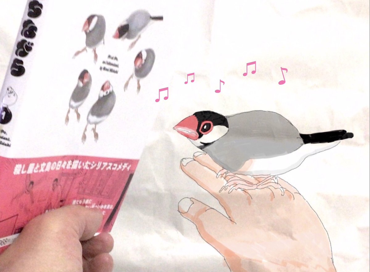 arai_h_official's tweet photo. 今日の留守番役のオレが文鳥みょん♂に、さっき届いた単行本を「ほ〜ら、みょんちゃんだよ〜」って見せたら歌って踊ってくれた〜♫

こういう状況を即時、動画撮影できたらいいんだけど…オレにそのテクはないっす🙇‍♂️ https://t.co/8uGMmCLBwC