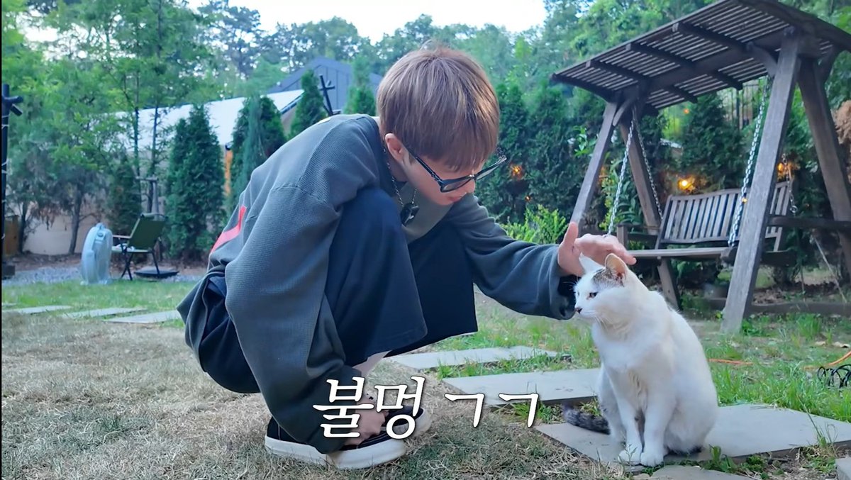 alwayswithifnt's tweet photo. Is this cute or what???? 🥹🥹 https://t.co/oOU7HMoyRX
