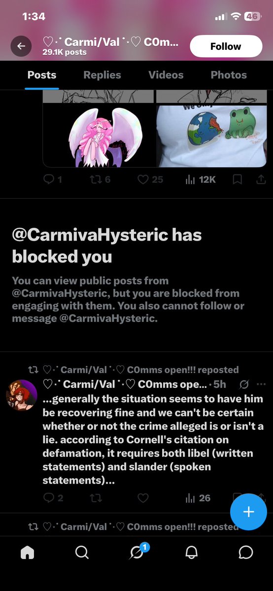 Mr_Guest's tweet photo. Got my first ren supporter block, she did indeed give a fuck about me, jokes aside is very sad that someone this old is blindly supporting a woman who almost ended a man’s life. https://t.co/KyaCaTx6Qy