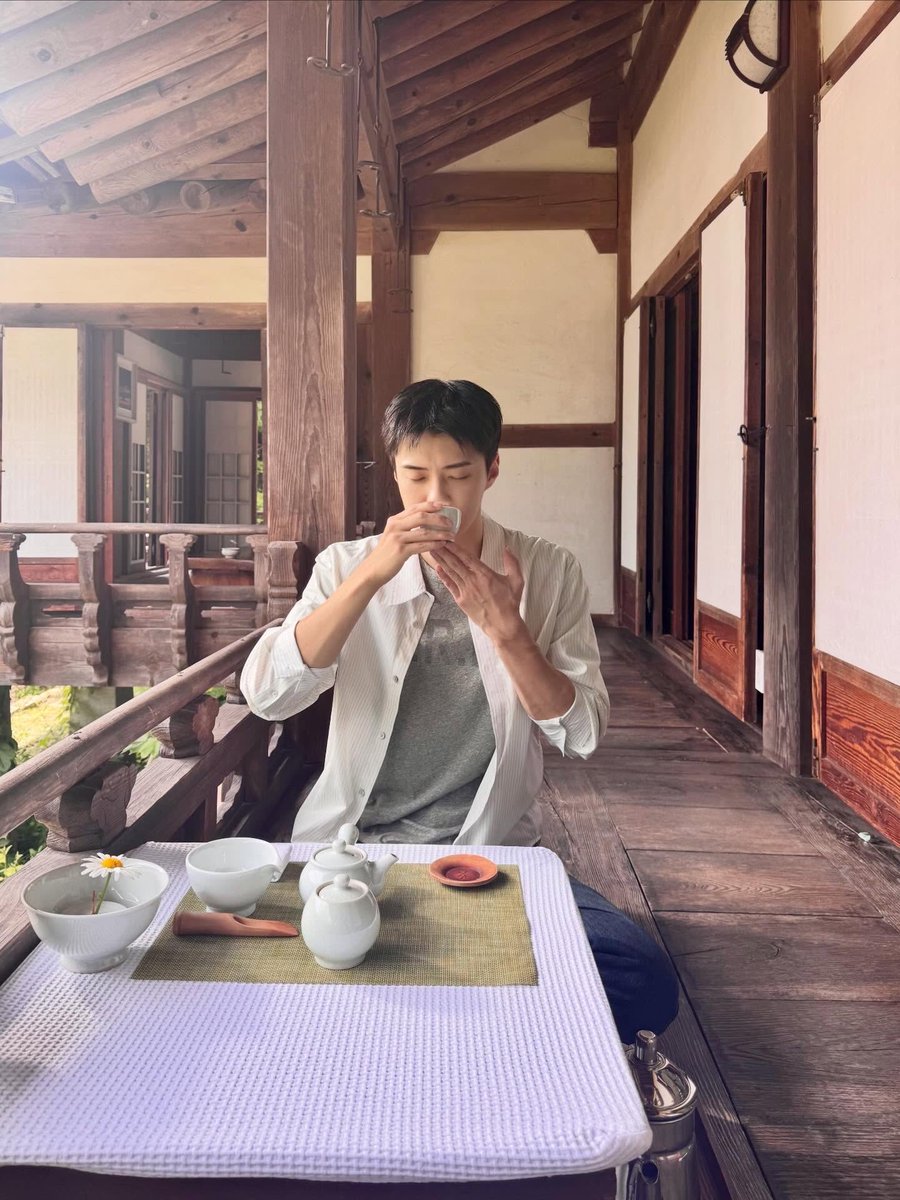 ohcha_x2's tweet photo. 훈스타(참한훈냥이)           버블(쪼롭..눈눈) https://t.co/CqyS30Dlc9