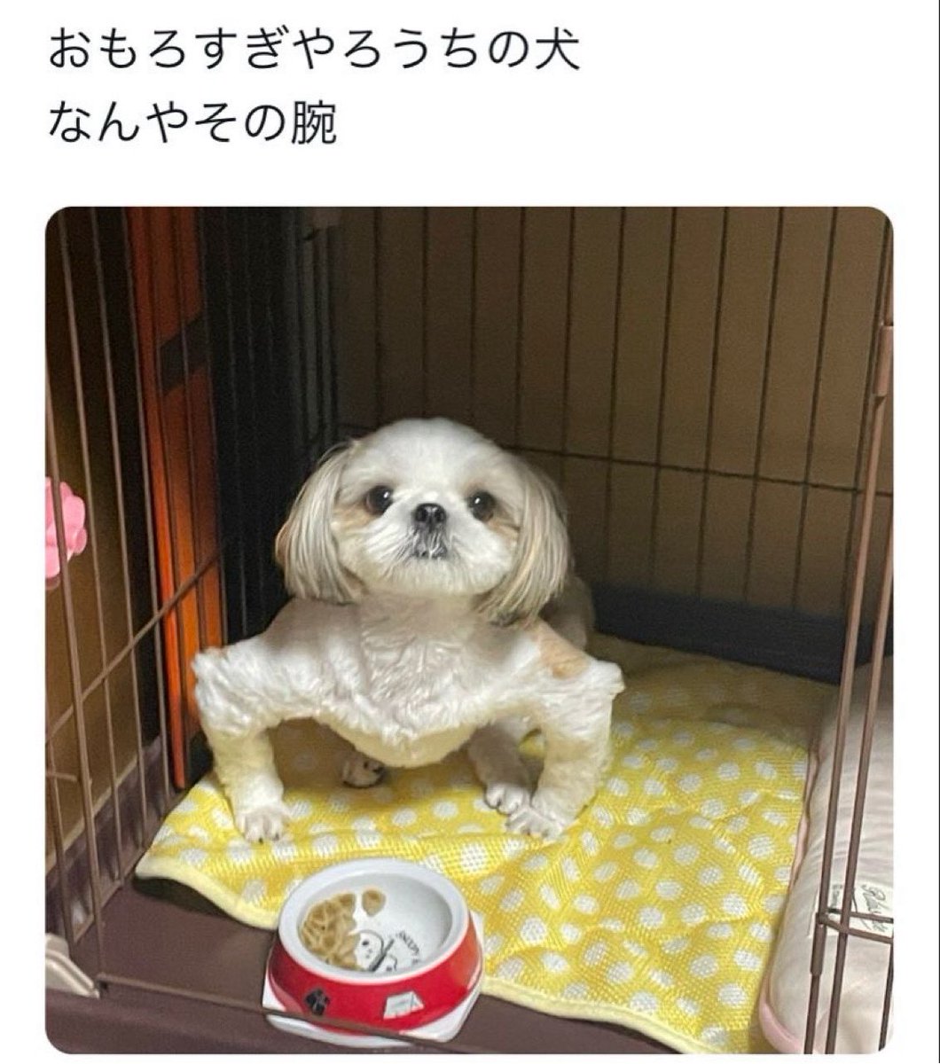 NaiTUbot's tweet photo. https://t.co/RIfD8oUoTD