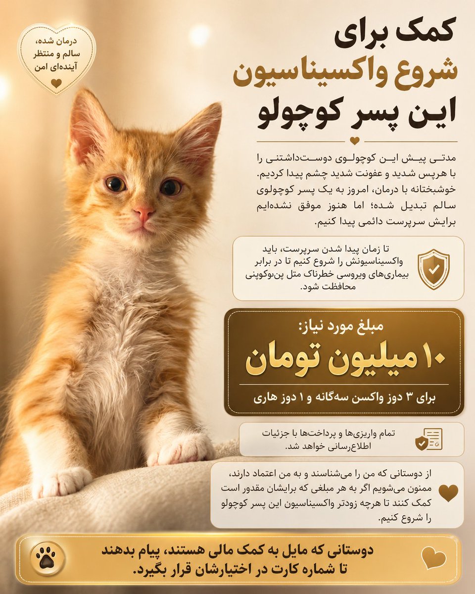 NazaninKdyr's tweet photo. گوزان خان باید هر چه زودتر واکسیناسیونش شروع شه 
هرپس و عفونت شدیدی رو پشت سر گذاشته و بدنش مستعده ابتلا به بیماری های مهلک ویروسیه 
برای دوز اول ۳ گانه و ویزیت و صدور شناسنامه حدود ۵ میلیون تومن احتیاج داریم.
من تمام واریزی ها و پرداختی هارو با جزئیات اطلاع رسانی می کنم. https://t.co/Ye4x1NIIFE