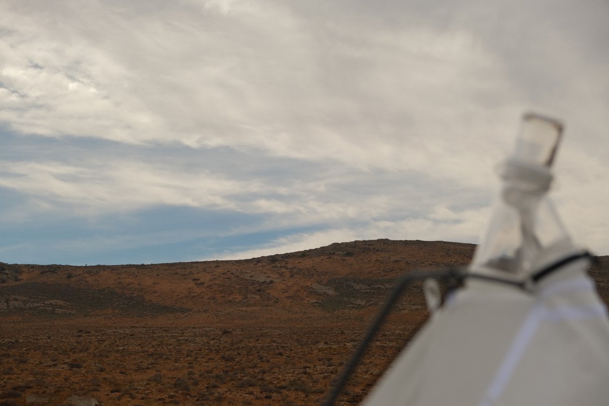 CBG_UofG's tweet photo. Namaqua NP, South Africa, transforms from a quiet, arid landscape into one of the world's most spectacular wildflower displays after the winter rain, highlighting why the CBG SANParks Malaise Project samples year-round to capture a more complete picture of arthropod biodiversity. https://t.co/mNiMKzjN1Z