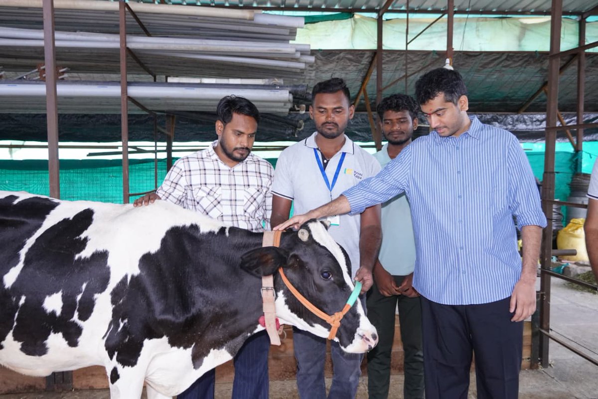BMPatilOfficial's tweet photo. ಕ್ಷೀರ ಪೈಲಟ್ ಯೋಜನೆಯ ಫಲಶ್ರುತಿ: ನಾಗರಾಳ ಗ್ರಾಮದ ಶ್ರೀ ಸಾಹೇಬ ಗೌಡ ಬಾಬಾ ಸಾಹೇಬ ಪಾಟೀಲ ಅವರ ಯಶೋಗಾಥೆ
ತಿಂಗಳಿಗೆ ₹60 ಸಾವಿರದವರೆಗೆ ಆದಾಯ – ವೈಜ್ಞಾನಿಕ ಹೈನುಗಾರಿಕೆಯಿಂದ ಆರ್ಥಿಕ ಸ್ವಾವಲಂಬನೆಯತ್ತ ಯಶಸ್ವಿ ಹೆಜ್ಜೆ

ಈ ದಿನ ನಾಗರಾಳ ಗ್ರಾಮದ ರೈತ ಶ್ರೀ ಸಾಹೇಬ ಗೌಡ ಬಾಬಾ ಸಾಹೇಬ ಪಾಟೀಲ ಅವರನ್ನು ಭೇಟಿ ಮಾಡಿ, ನಮ್ಮ BLDE, ಕೃಷಿಕಲ್ಪ ಫೌಂಡೇಶನ್ ಹಾಗೂ ಅಕ್ಷಯಕಲ್ಪ ಫೌಂಡೇಶನ್ಗಳ ಸಹಯೋಗದಲ್ಲಿ ಜಾರಿಗೊಂಡಿರುವ 'ಕ್ಷೀರ ಪೈಲಟ್ ಯೋಜನೆ'ಯಿಂದ ಅವರ ಬದುಕಿನಲ್ಲಿ ಮೂಡಿರುವ ಸಕಾರಾತ್ಮಕ ಪರಿವರ್ತನೆಯ ಕುರಿತು ತಿಳಿದುಕೊಂಡೆ.

ಯೋಜನೆ ಆರಂಭಕ್ಕೂ ಮುನ್ನ ಕೇವಲ ಒಂದು ಹಸುವನ್ನು ಸಾಕುತ್ತಿದ್ದ ಅವರು, ಯೋಜನೆಯಡಿ ನೀಡಲಾದ ವೈಜ್ಞಾನಿಕ ತರಬೇತಿ, ನಿರಂತರ ಮಾರ್ಗದರ್ಶನ ಹಾಗೂ ತಾಂತ್ರಿಕ ನೆರವಿನ ಪ್ರೇರಣೆಯಿಂದ ಇಂದು ತಮ್ಮ ಹೈನುಗಾರಿಕೆಯನ್ನು ವಿಸ್ತರಿಸಿ ಆರು ಹಸುಗಳನ್ನು ಸಾಕುತ್ತಿದ್ದಾರೆ. ಇದರ ಫಲವಾಗಿ ಪ್ರತಿ ತಿಂಗಳು ₹55,000 ರಿಂದ ₹60,000ರವರೆಗೆ ಆದಾಯ ಗಳಿಸುತ್ತಿರುವುದು ತಿಳಿದು ಸಂತಸವಾಯಿತು.

ಕಳೆದ ಆರು ತಿಂಗಳುಗಳಲ್ಲಿ ವೈಜ್ಞಾನಿಕ ಪಶುಪಾಲನೆ, ಆಧುನಿಕ ಹೈನುಗಾರಿಕೆ ವಿಧಾನಗಳು ಹಾಗೂ ಸಮರ್ಪಕ ನಿರ್ವಹಣೆಯನ್ನು ಅಳವಡಿಸಿಕೊಂಡ ಪರಿಣಾಮ, "ಹೈನುಗಾರಿಕೆಯೇ ನಮ್ಮ ಕುಟುಂಬದ ಆರ್ಥಿಕ ಭವಿಷ್ಯವನ್ನು ರೂಪಿಸಬಲ್ಲ ಉದ್ಯಮ" ಎಂಬ ದೃಢ ವಿಶ್ವಾಸ ಅವರಲ್ಲಿ ಮೂಡಿದೆ. ಮುಂದಿನ ದಿನಗಳಲ್ಲಿ ಇನ್ನಷ್ಟು ಹಸುಗಳನ್ನು ಖರೀದಿಸಿ ತಮ್ಮ ಹೈನುಗಾರಿಕೆಯನ್ನು ಮತ್ತಷ್ಟು ವಿಸ್ತರಿಸುವ ಸಂಕಲ್ಪವನ್ನೂ ಅವರು ವ್ಯಕ್ತಪಡಿಸಿದರು.

ಇಂತಹ ಯಶೋಗಾಥೆಗಳು ಕ್ಷೀರ ಪೈಲಟ್ ಯೋಜನೆಯ ಪರಿಣಾಮಕಾರಿತ್ವಕ್ಕೆ ಸಾಕ್ಷಿಯಾಗಿದ್ದು, ಕೃಷಿಯೊಂದಿಗೆ ಹೈನುಗಾರಿಕೆಯನ್ನು ಸಂಯೋಜಿಸುವ ಮೂಲಕ ರೈತರ ಆದಾಯವನ್ನು ಗಣನೀಯವಾಗಿ ಹೆಚ್ಚಿಸಬಹುದು ಎಂಬುದನ್ನು ಮತ್ತೊಮ್ಮೆ ಸಾಬೀತುಪಡಿಸಿವೆ.

ಈ ಸಂದರ್ಭದಲ್ಲಿ ಅಕ್ಷಯಕಲ್ಪ ಸಂಸ್ಥೆಯ ಶ್ರೀ ಸಿ.ಎಂ. ಪಾಟೀಲ, BLDE ಸಂಸ್ಥೆಯ ಸಾರ್ವಜನಿಕ ಸಂಪರ್ಕಾಧಿಕಾರಿ ಡಾ. ಮಹಾಂತೇಶ ಬಿರಾದಾರ ಸೇರಿದಂತೆ ಹಲವರು ಉಪಸ್ಥಿತರಿದ್ದರು.

ಹೈನುಗಾರಿಕೆಯ ಮೂಲಕ ರೈತರನ್ನು ಇನ್ನಷ್ಟು ಸ್ವಾವಲಂಬಿಗಳನ್ನಾಗಿ ಮಾಡುವ ಉದ್ದೇಶದಿಂದ, ಶೀಘ್ರದಲ್ಲೇ ನಿಡೋಣಿ ಗ್ರಾಮದಲ್ಲಿ BLDE ವತಿಯಿಂದ ಆಧುನಿಕ ಹೈನುಗಾರಿಕೆ ತರಬೇತಿ ಕೇಂದ್ರವನ್ನು ಸ್ಥಾಪಿಸಲಾಗುವುದು. 

ಜ್ಞಾನ, ತಂತ್ರಜ್ಞಾನ ಹಾಗೂ ನಿರಂತರ ಮಾರ್ಗದರ್ಶನದ ಮೂಲಕ ವಿಜಯಪುರ ಜಿಲ್ಲೆಯನ್ನು ಕ್ಷೀರ ಕ್ರಾಂತಿಯ ಮಾದರಿ ಜಿಲ್ಲೆಯಾಗಿ ರೂಪಿಸುವುದು ನಮ್ಮ ಸಂಕಲ್ಪವಾಗಿದೆ.