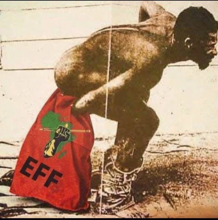 Jeff Ngobeni tweet media