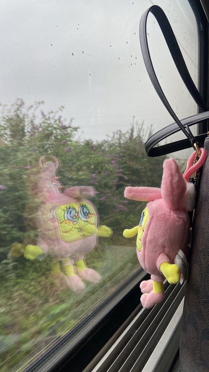 blessymessy123's tweet photo. i dont know where im going but im going with love #spongebobviously https://t.co/0behojuR9d
