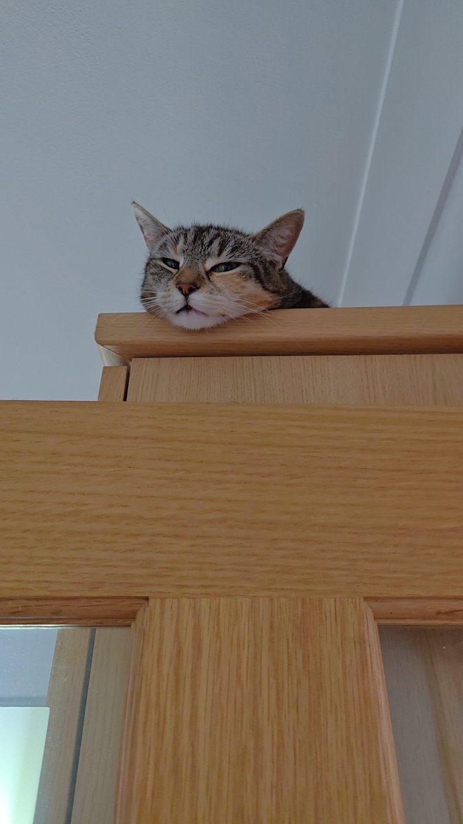 rers95's tweet photo. Watching over me https://t.co/gtXZrMiK7V