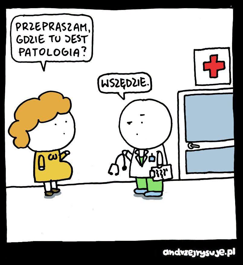 AWMKrajewski's tweet photo. I tyle w temacie https://t.co/HB8eI6JAIH