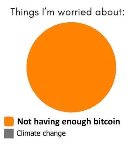 sunnydecree's tweet photo. Daily reminder that you don't own enough Bitcoin. https://t.co/DT7Nfo0Q8J