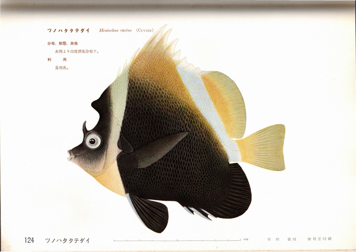 福地毅彦 (@jI8ZX8BmRY33991) / Posts / X