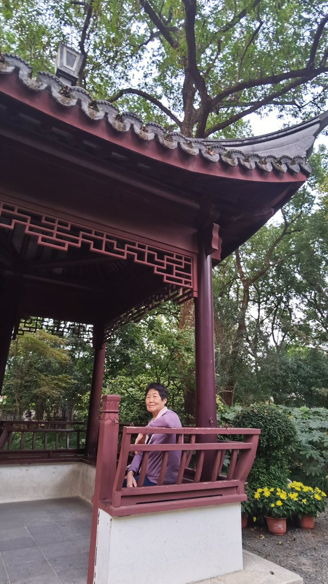 硅硲居土 tweet media