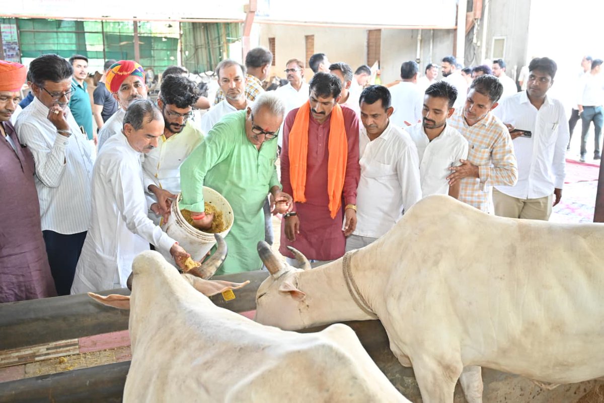 BJP4Rajasthan's tweet photo. भाजपा प्रदेश अध्यक्ष श्री @madanrrathore ने आज अपने जन्मदिवस के पावन अवसर पर कलावा (बालोतरा) स्थित श्री आईनाथ गौशाला में गौपूजन एवं गौसेवा कर गौमाता को गुड़, लापसी एवं चारा खिलाकर उनका आशीर्वाद प्राप्त किया।

इस अवसर पर भाजपा प्रदेश महामंत्री श्री @bjpbhupendraRYB, प्रदेश मंत्री श्री @AidanSinghBJP, जिलाध्यक्ष श्री भरत मोदी सहित अनेक गणमान्यजन उपस्थित रहे।

#HBDayMadanJi