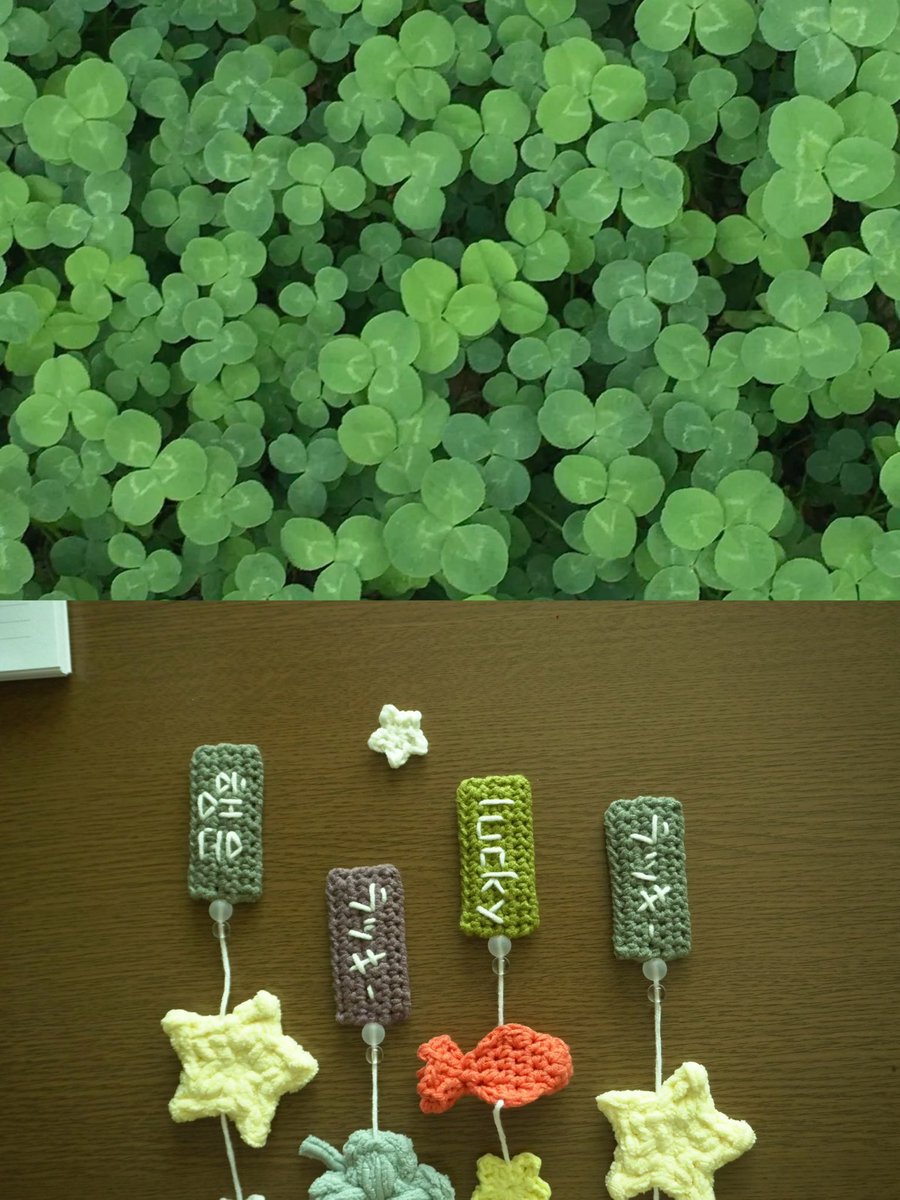 tomacone_'s tweet photo. 행운을 차곡차곡 쌓아 𓂃🍏 https://t.co/HaDc927RDd