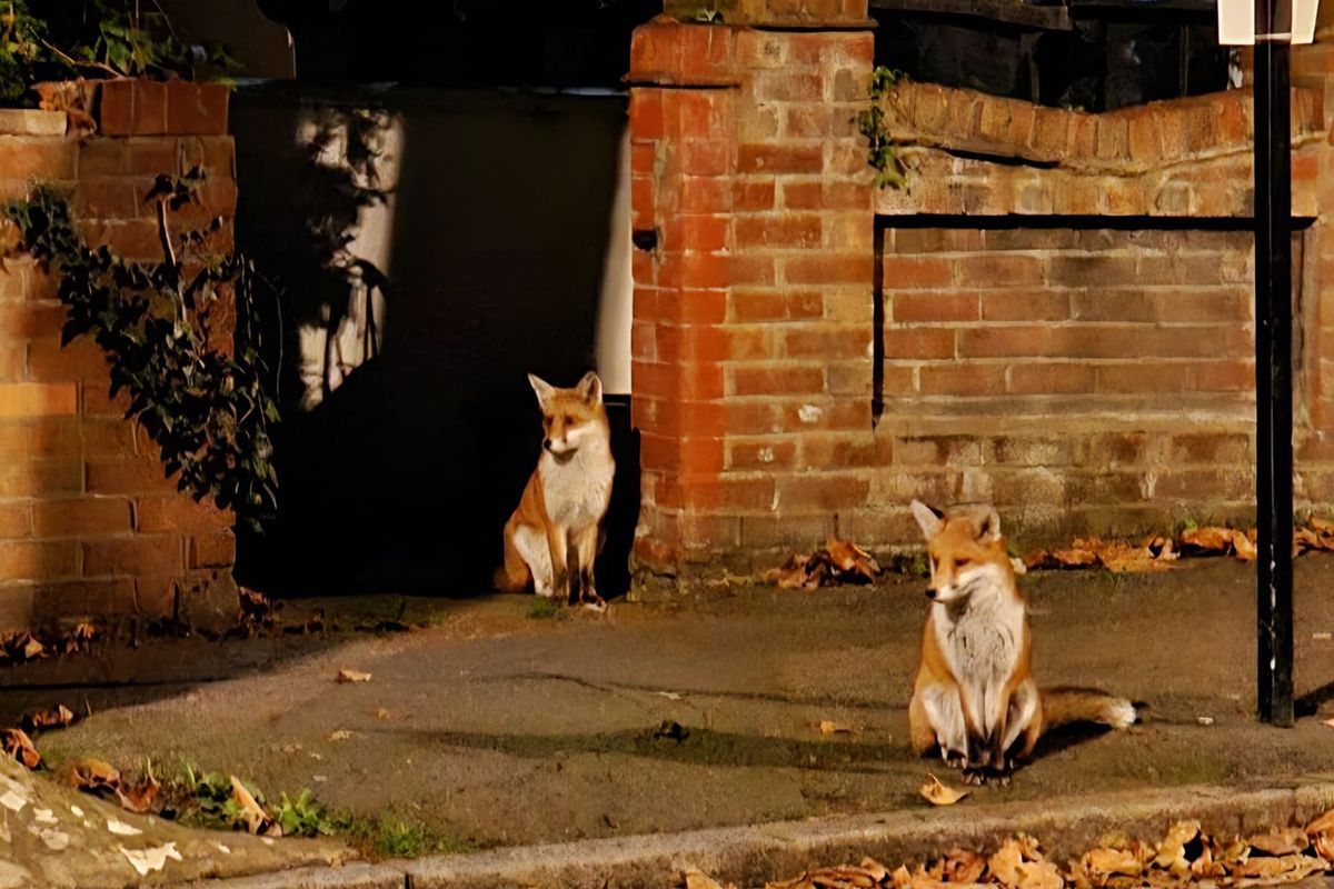 closeupcentre's tweet photo. Showing tonight, 6pm:
The Liberated Film Club: The Otolith Group
https://t.co/osRQVAAY7g
Box Office: https://t.co/l3GgOzMnCq https://t.co/srowYNaY02