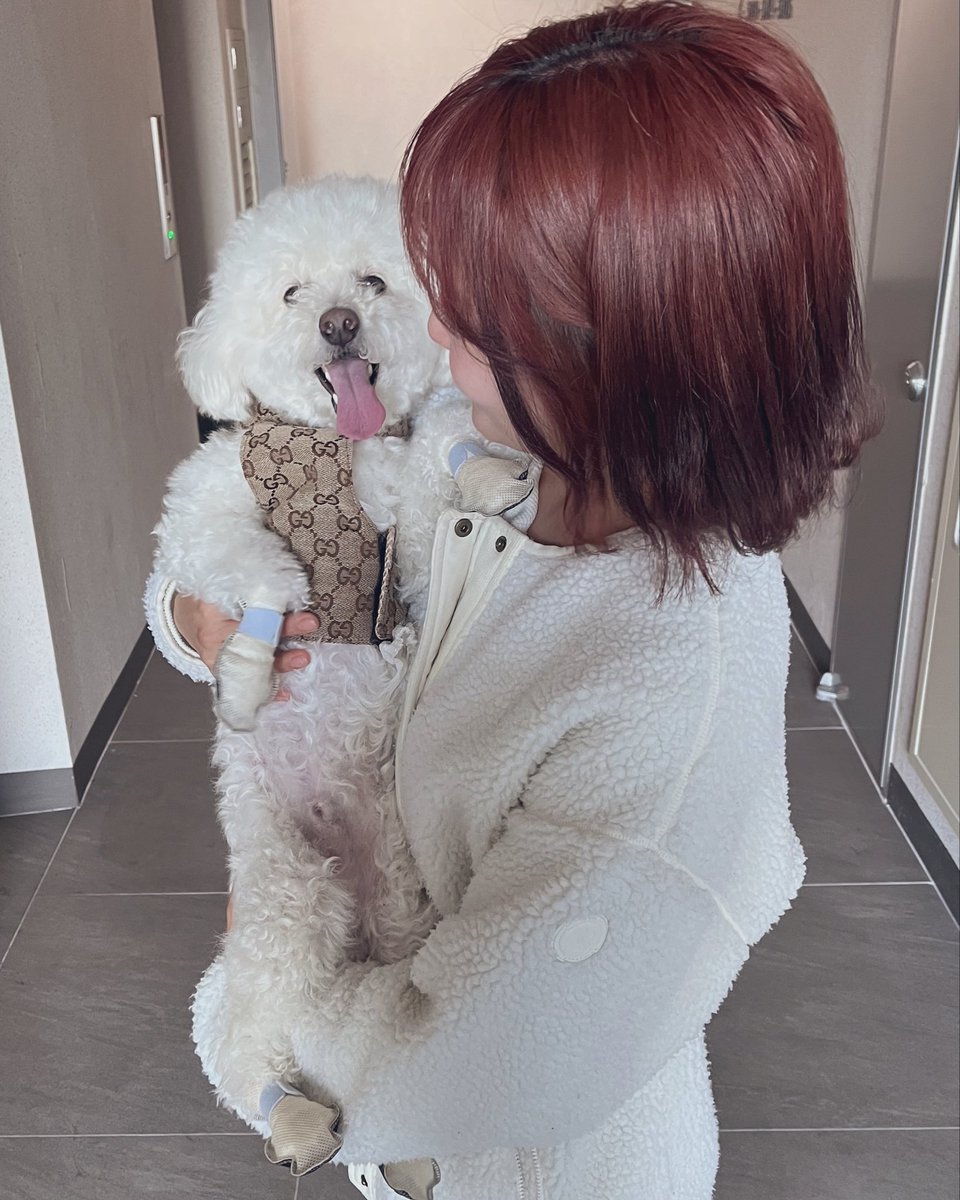 chapiik7's tweet photo. 안녕하세요〜！🇰🇷
韓国在住3年目の카나몽です🫧

🇰🇷2023.06〜韓国在住
👩‍🍳元帝国ホテルシェフ → 韓国で洋食シェフ
💍日韓夫婦
💄韓国美容・グルメ
🏠26.07.01 マイホーム購入

韓国の日常を発信中です☁️
よかったら仲良くしてください🫶

#韓国好きな人と繋がりたい
#한국생활
#한일부부 https://t.co/tNVbblGUat
