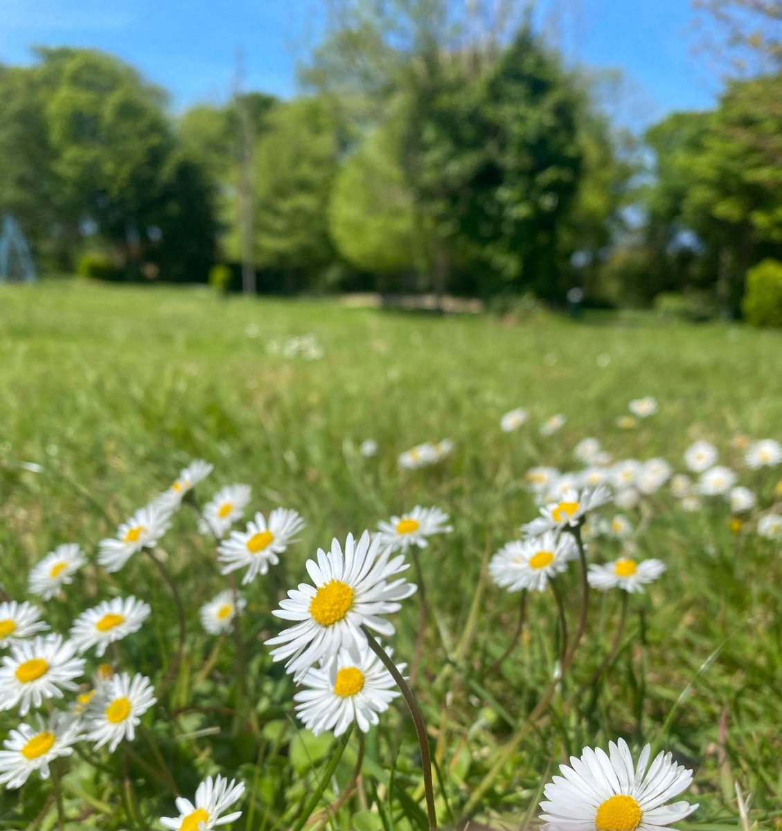 Camping_Direct's tweet photo. βοΈ Beach weather is on the way and next week is looking brilliant for Cornwall.
π Find out more about Treglisson Campsite here:
https://t.co/LhyqyIFB50
#visitcornwall #hayle #cornwallcamping #beachdays #holiday https://t.co/y227dc1aQR